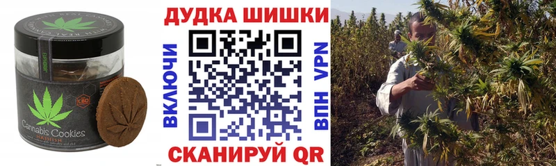 купить наркоту  мориарти формула  hydra ONION  Cannafood конопля  Нерчинск 
